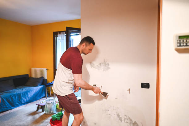 Best Localized Mold Remediation (e.g., coastal areas, humid climates) in Pinewood, FL